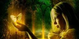 Ashian : L’éducation de vos Enfants de Dimension Supérieure